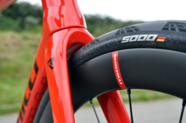 Redchilli_FR1_t Redchilli_FR1_t