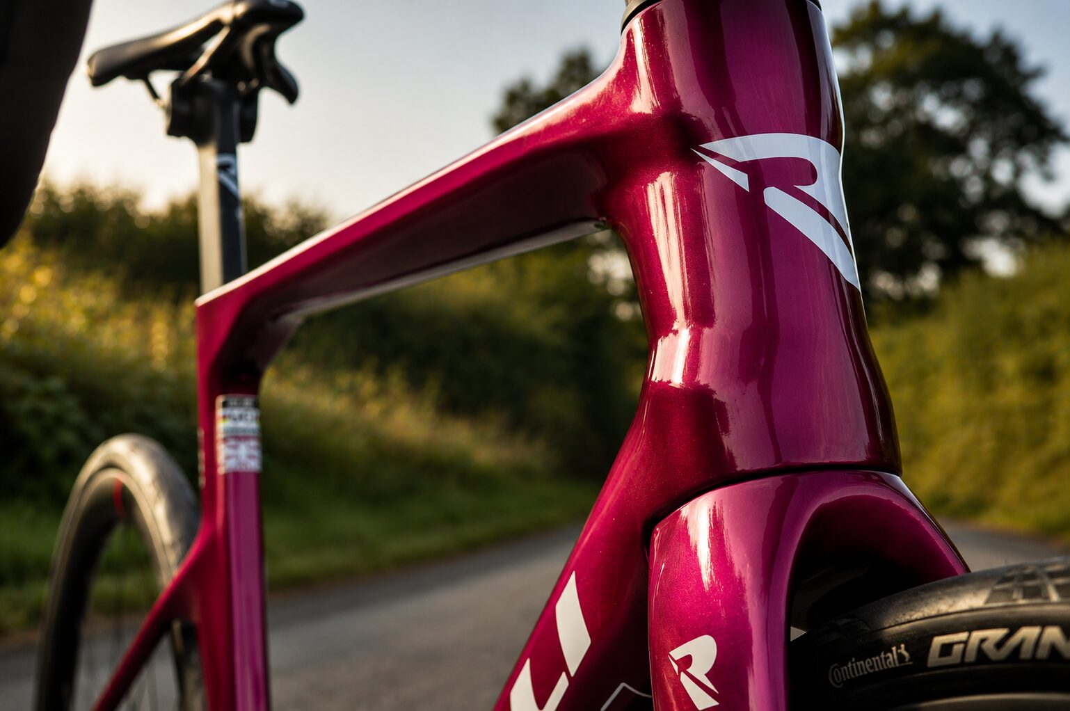 Redchilli FR1 Rouleur Redchilli FR1 Head Tube